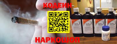крисы Кулебаки