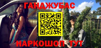 крисы Кулебаки