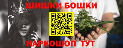 крисы Кулебаки