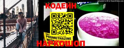 крисы Кулебаки