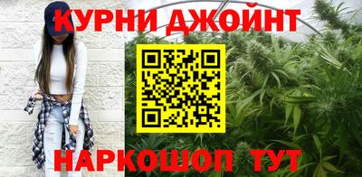 крисы Кулебаки